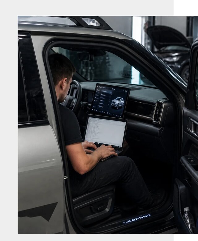 Русификация BYD Leopard 3 в Стерлитамаке по цене от 20495 р. | ФастМобиль-Стм